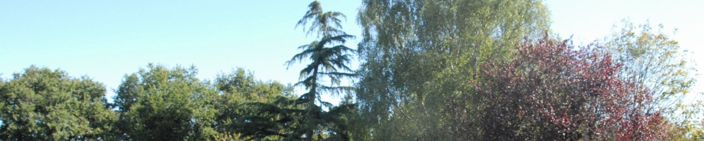 activité bords de loire - auberge le vieux cellier